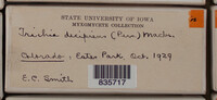 Image Associated With the Occurence